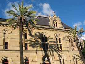 Museum and Palm
